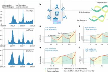 Researchers draw insights from COVID-19 to inform improved health ...