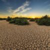 Researchers investigate influences of flash droughts