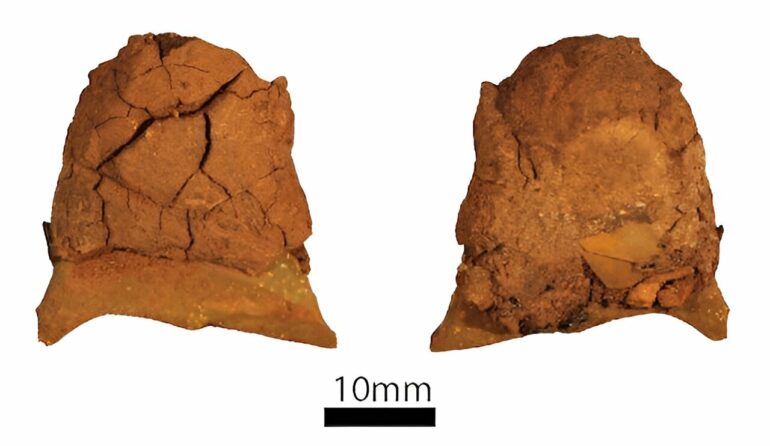 Results from Juukan Gorge show 47,000 years of Aboriginal heritage ...