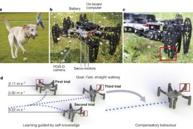 Robots that can adapt like animals | Nature