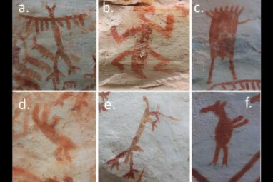 Rock art and archaeological record reveal man's complex ...