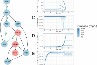 Scientists control bacterial mutations to preserve antibiotic ...