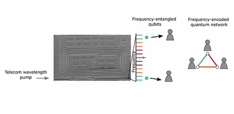 Silicon photonics light the way toward large-scale applications in ...