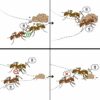 Social contagion research explores how ant colonies regulate group ...