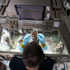 Space-trekking muscle tests drugs for microgravity-induced muscle ...