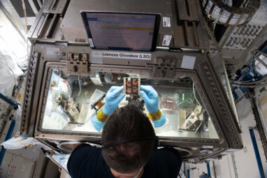 Space-trekking muscle tests drugs for microgravity-induced muscle ...