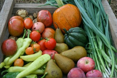 Study: American diets got briefly healthier, more diverse during ...