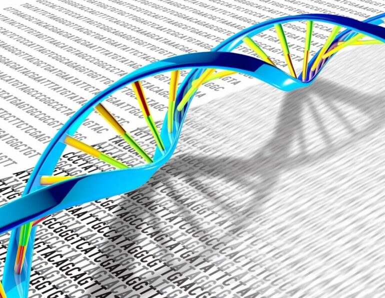 Study deciphers intricate 3D structure of DNA aptamer for disease ...