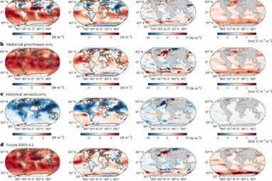 Study reveals historical mismatch in Southern Ocean contributes to ...