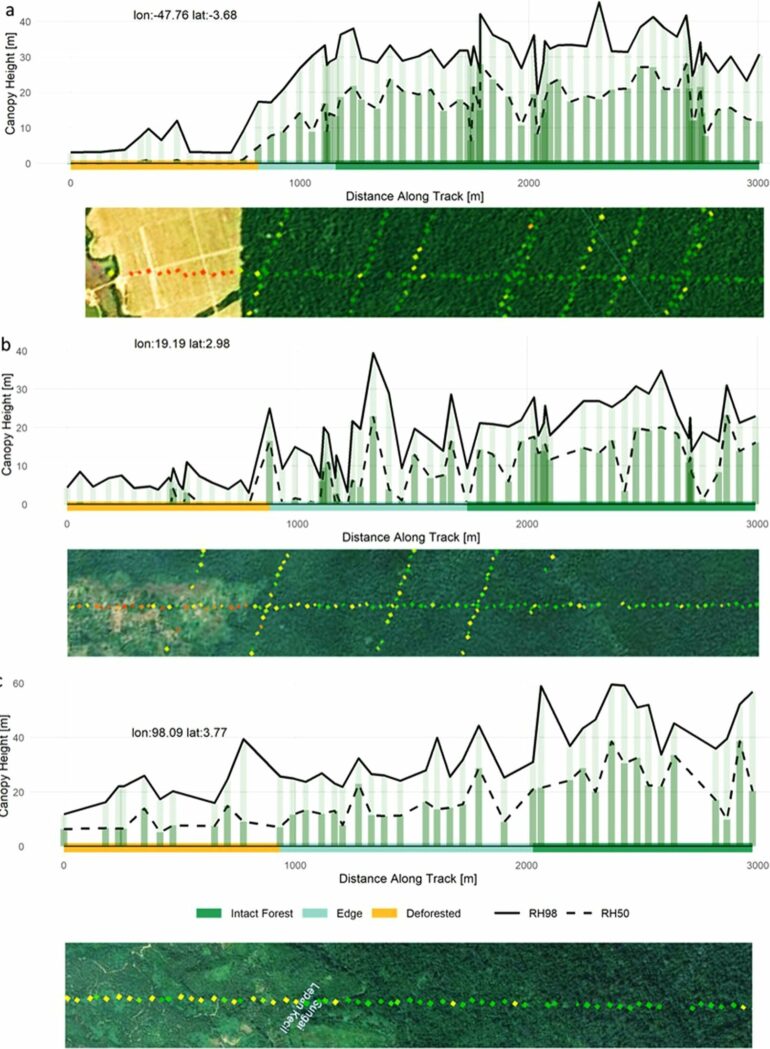 Study reveals human degradation of tropical forests is greater ...