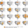 Study shows severe droughts limit Amazonian communities' access to ...