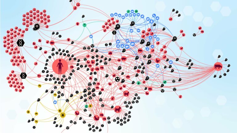 Study unveils complexity of zoonotic transmission chains