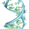 Understanding the role of RNA methylation in cancer