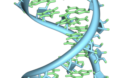 Understanding the role of RNA methylation in cancer