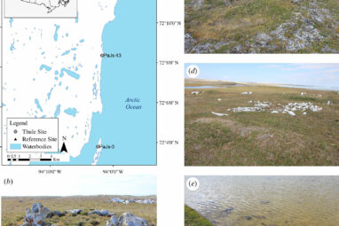 Unveiling 1,200 years of human occupation in Canada's Arctic