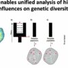 Using AI to scrutinize and validate theories on animal evolution