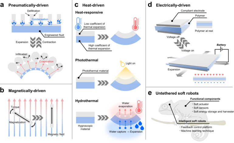 Untethered soft actuators for soft standalone robotics | Nature ...