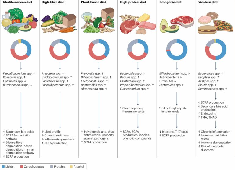 Western diets pose greater risk of cancer and inflammatory bowel ...