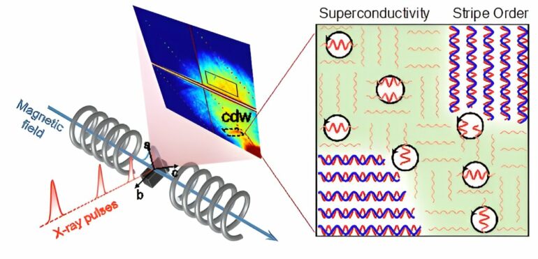 What makes high temperature superconductivity possible ...