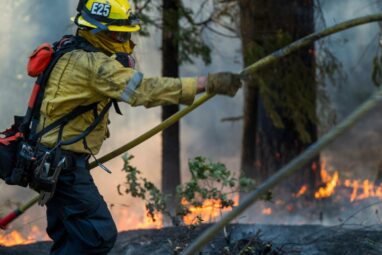 Wildfire smoke may be worse for your brain than other air ...