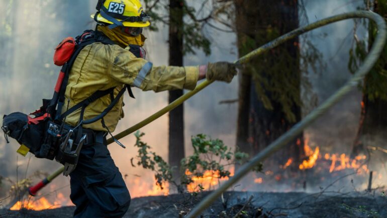 Wildfire smoke may be worse for your brain than other air ...