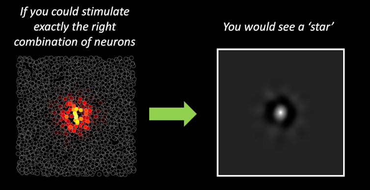 Left diagram shows a tiling of tiny empty circles representing neurons. A cluster of circles in the middle of this tiling are filled with red, orange and white to represent neuronal firing. Right side of diagram depicts a small, circular star aginst a gray background