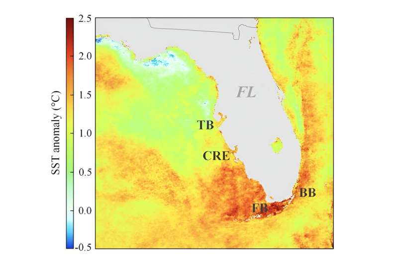 South Florida estuaries warming faster than Gulf of Mexico, global ocean, USF research shows