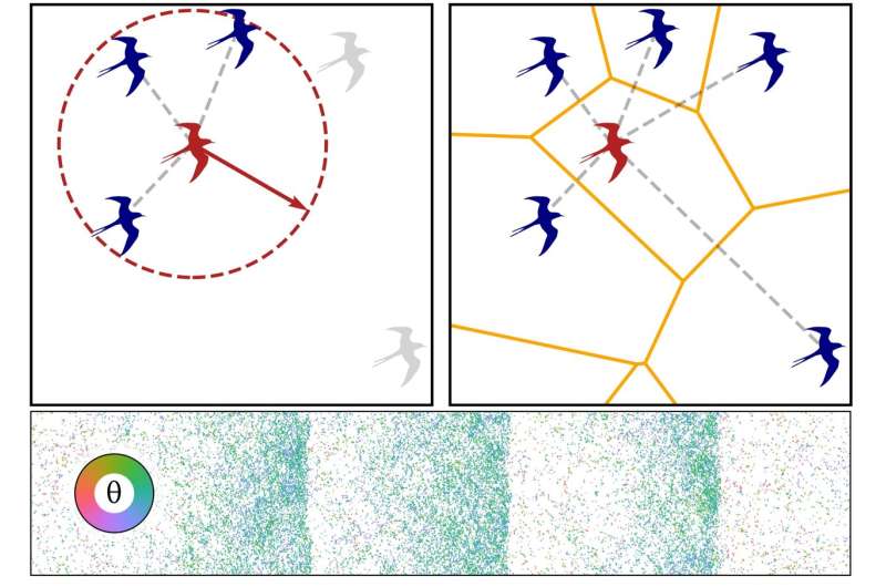 Are birds flying atoms?