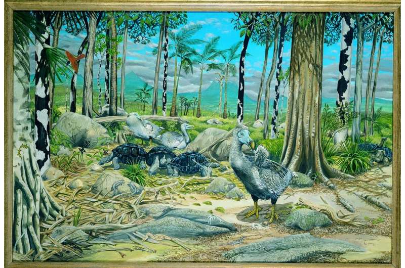 Rethinking the dodo