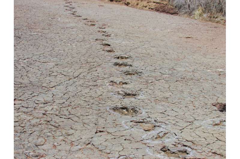 Matching dinosaur footprints found on opposite sides of the Atlantic Ocean