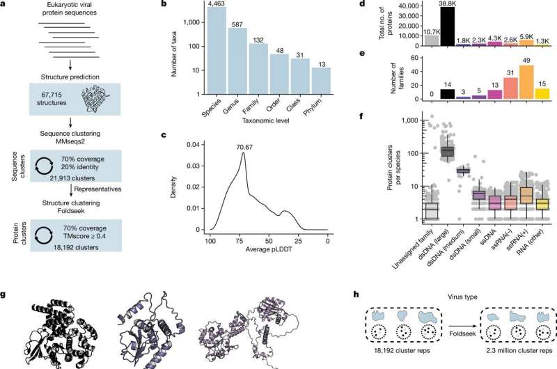 3D shapes of viral proteins point to previously unknown roles