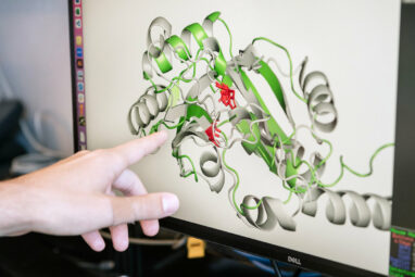 3D shapes of viral proteins point to previously unknown roles