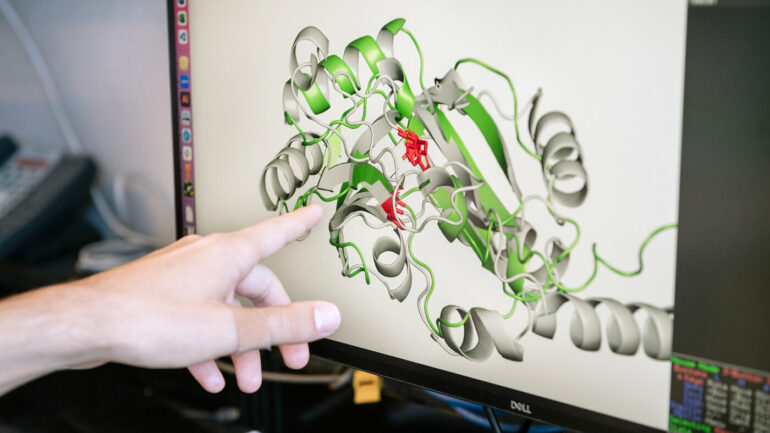 3D shapes of viral proteins point to previously unknown roles