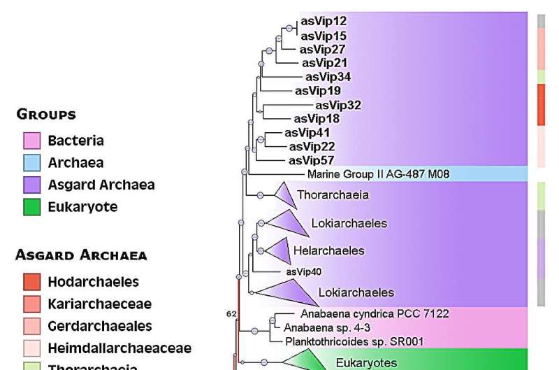 Next time you beat a virus, thank your microbial ancestors