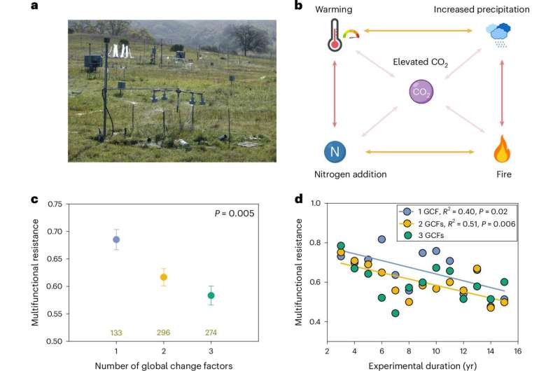 The higher the environmental stress, the lower the resistance to global change