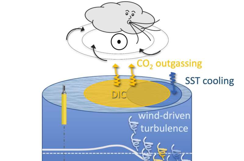 New research reveals the importance of storms in air-sea carbon exchange in the Southern Ocean