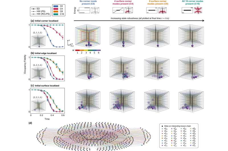 Topological quantum simulation unlocks new potential in quantum computers