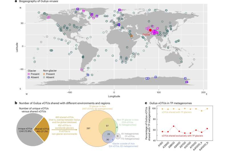 Locked in a glacier, viruses adapted to survive extreme weather