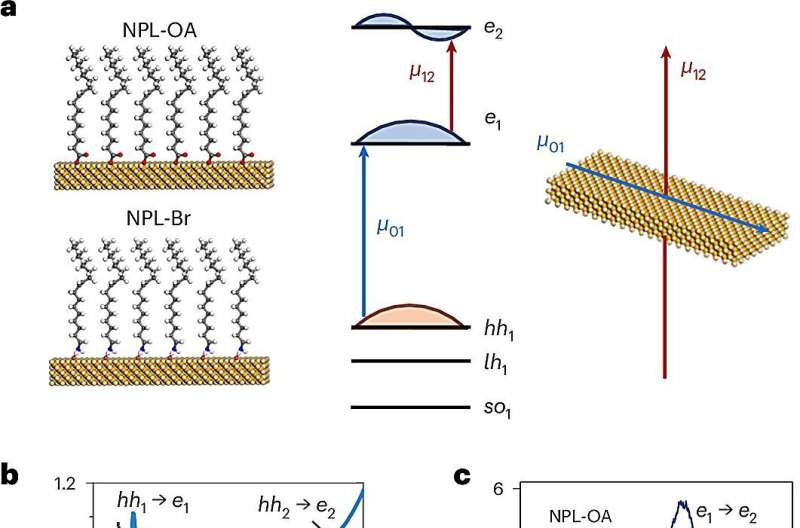 Researchers observe floquet states in colloidal nanoplatelets driven by visible pulses