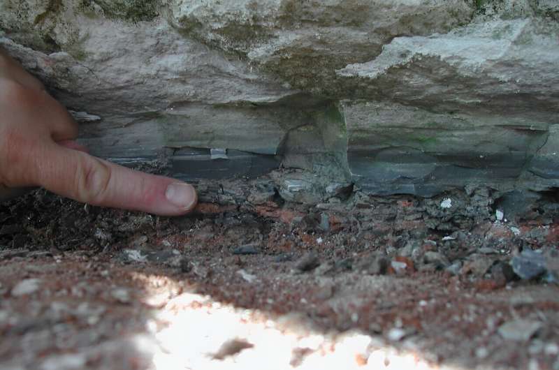 This undated handout image shows the 66 million-year-old Cretaceous-Paleogene boundary layer at Stevns Klint in Denmark, a global layer which contains debris from the asteroid impact at Chicxulub, in present-day Mexico