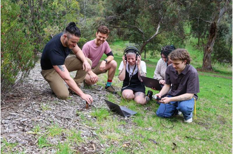 It's a rave – underground acoustics amplify soil health