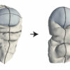 A new mechanism for shaping animal tissues