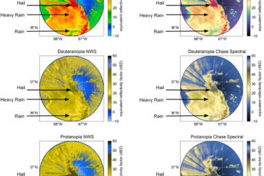 A visionary approach: How a team developed accessible maps for ...