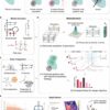 AI tool maps out cell metabolism with precision