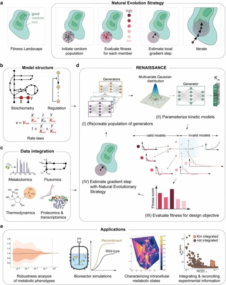 AI tool maps out cell metabolism with precision