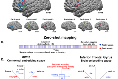 Alignment of brain embeddings and artificial contextual embeddings ...