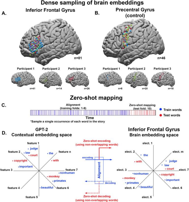 Alignment of brain embeddings and artificial contextual embeddings ...