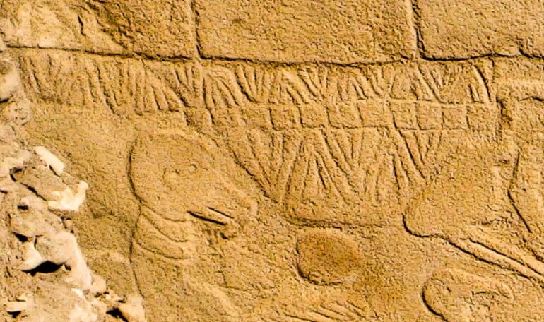 Ancient carvings in Turkey could be earliest solar calendar