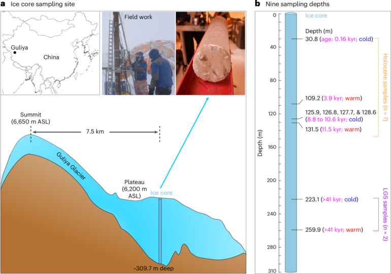 Glacier-preserved Tibetan Plateau viral community probably linked ...