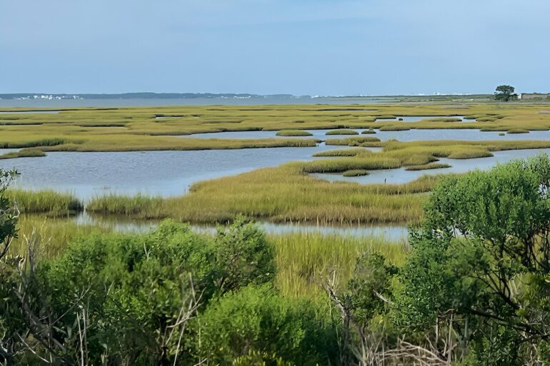 Anthropogenic CO₂ study quantifies amount and pathways in coastal ...